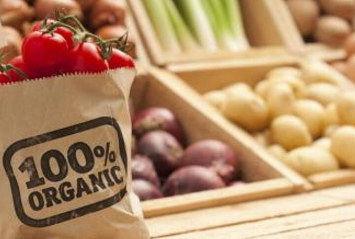 Reason why you should  choose organic